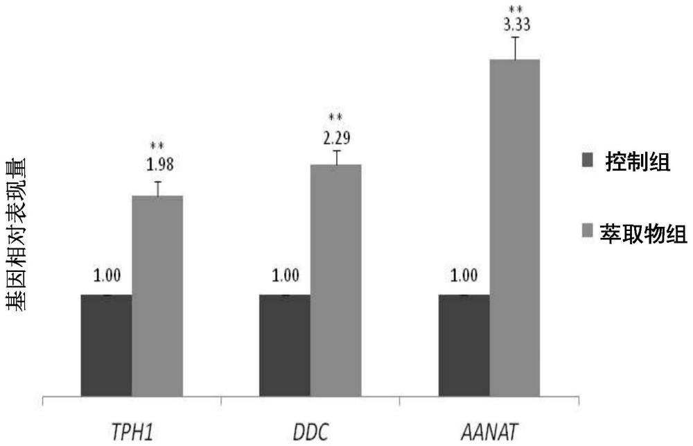 香蕉皮萃取物于调控TPH1、DDC及／或AANAT基因表现的应用的制作方法