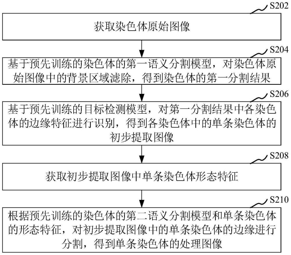 染色体图像的处理方法、装置、计算机设备和存储介质与流程