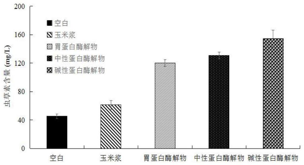 一种促进蛹虫草菌产虫草素的玉米浆酶解物及其制备方法与应用