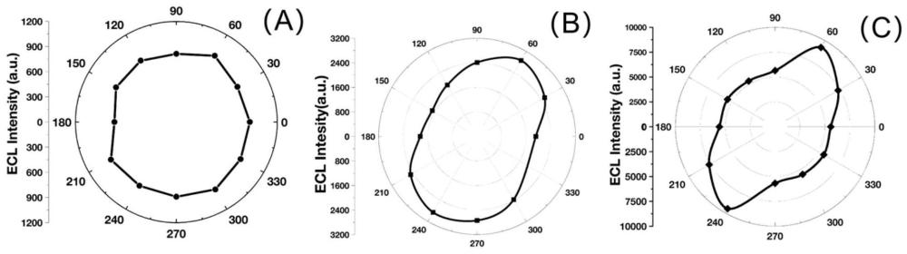 一种外磁场调控磁等离子体超表面偏振耦合增强电化学发光检测的方法