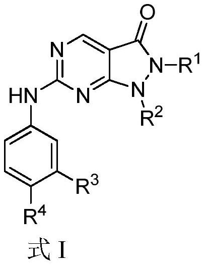 WEE1抑制剂及其制备和用途的制作方法