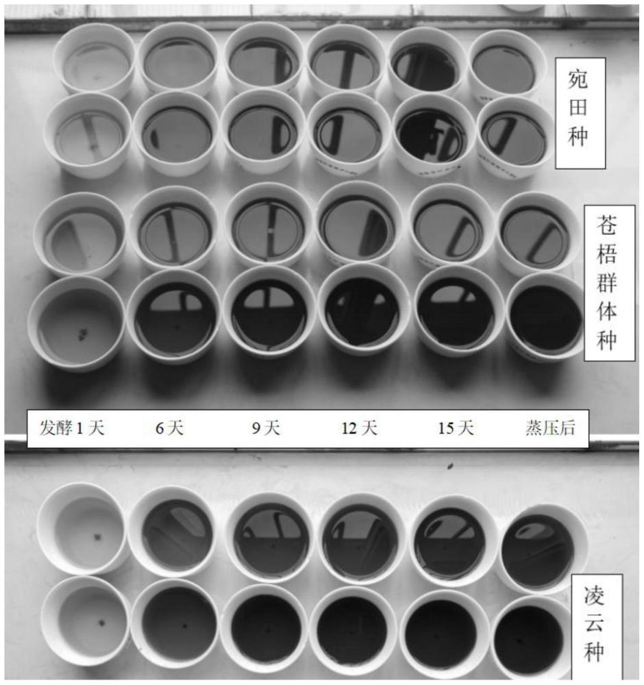 一种判断六堡茶发酵程度的方法、六堡茶发酵方法与流程