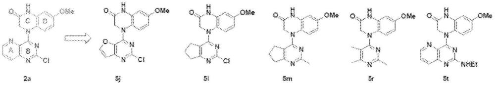 作为微管蛋白聚合抑制剂的代谢稳定的嘧啶基二氢喹喔啉酮