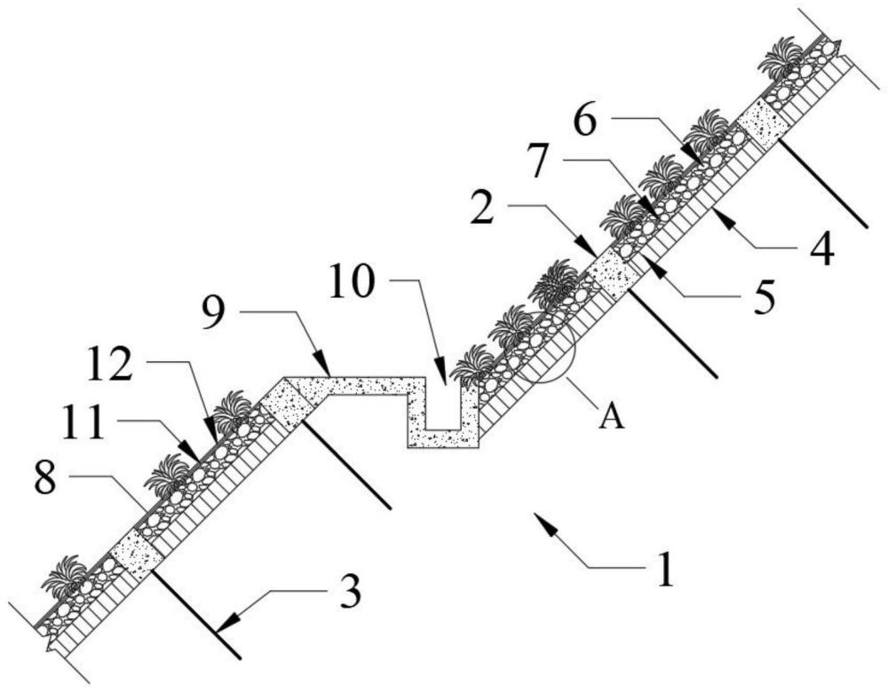 一种具备植生与持水性能的生态混凝土护坡结构及应用