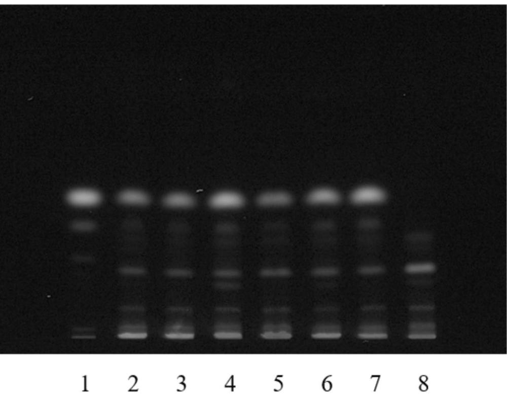治疗乳腺增生中药制剂的薄层色谱检测方法与流程