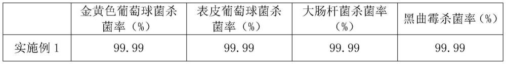 一种用于洗衣机的气液双相态杀菌清洗剂及其制备方法与流程