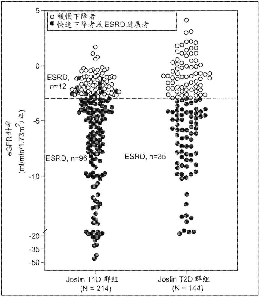 诊断和预测肾功能下降的方法与流程