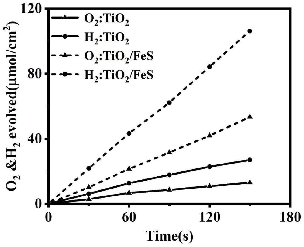 一种高性能TiO2/FeS光电极薄膜的制备方法和应用