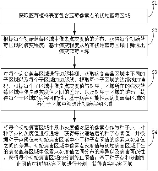 一种面向蓝莓品质检测的病害区域分割方法