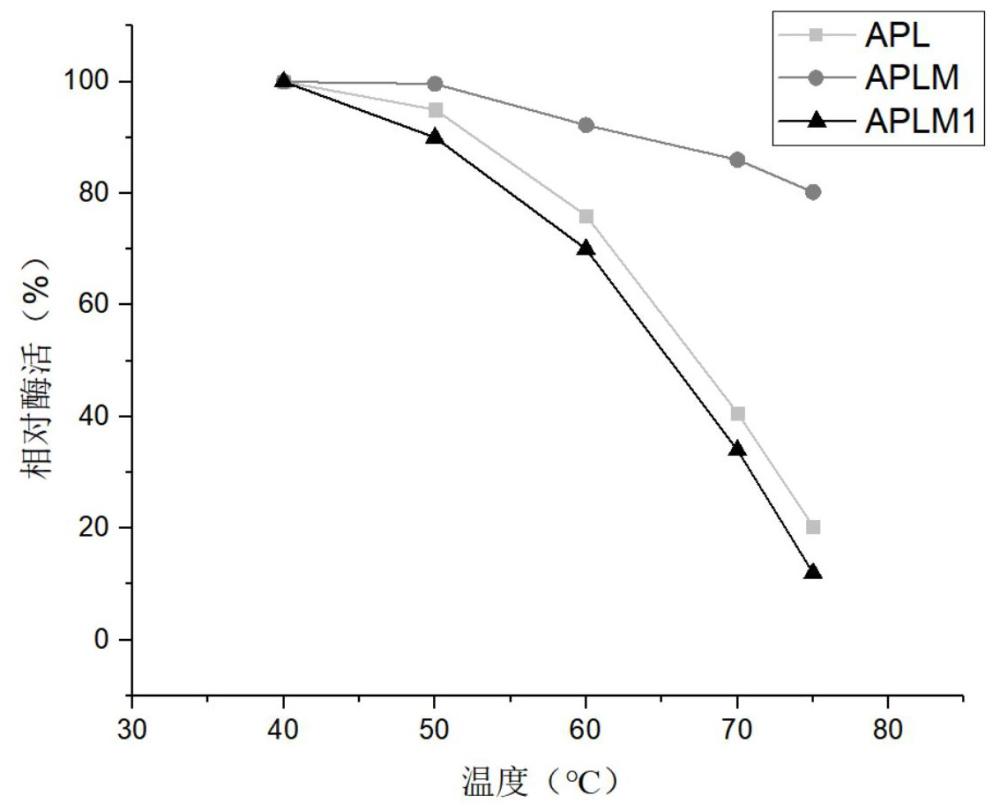 一种耐高温碱性蛋白酶及其基因和应用的制作方法