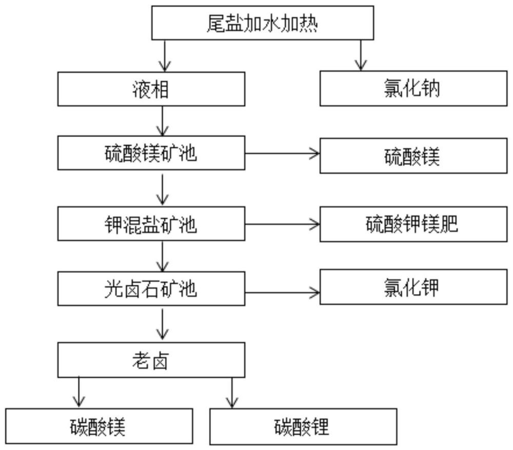 一种尾盐综合回收利用的方法与流程