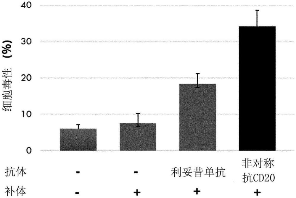 具有提高的癌细胞杀灭功效的非对称抗体