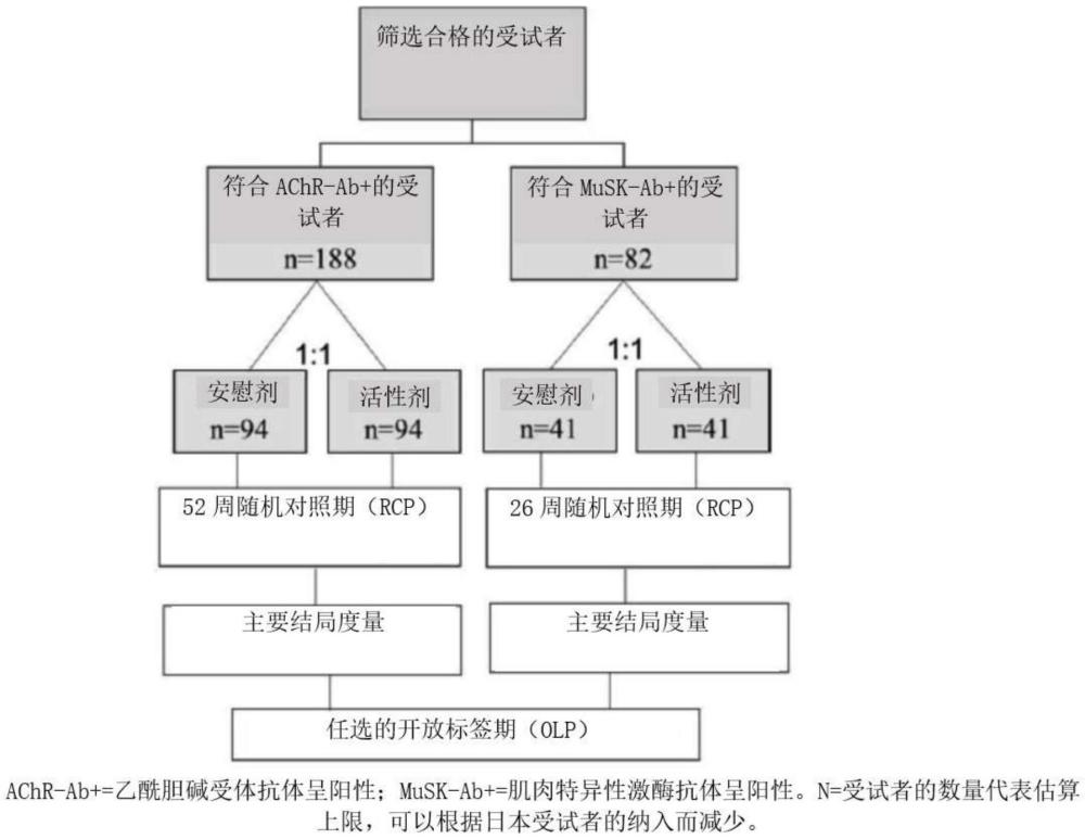 使用抗CD19抗体治疗重症肌无力的制作方法