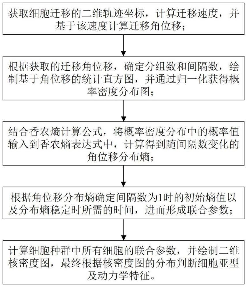 一种基于细胞迁移持续性联合参数的细胞亚型分类方法