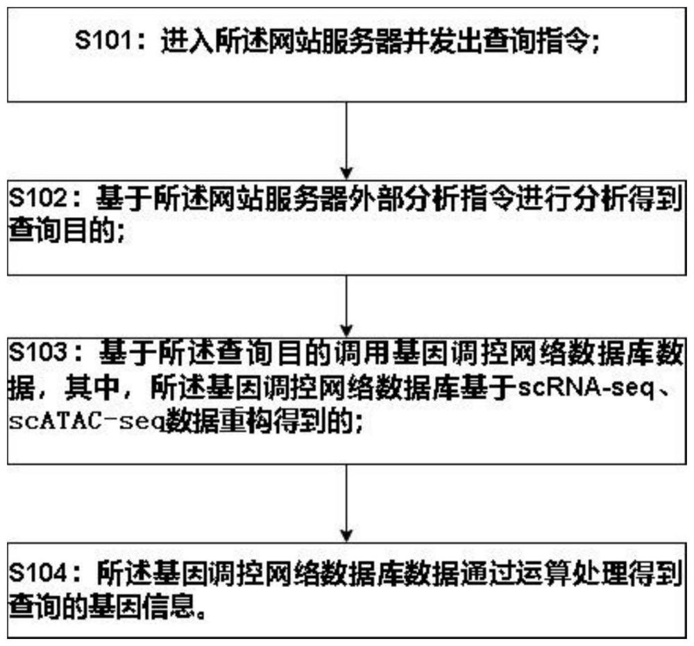 一种基于基因调控网络数据库的信息获取方法、平台及设备