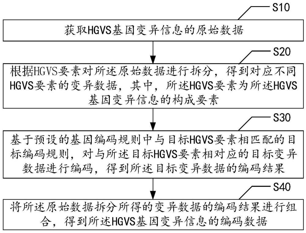 HGVS基因变异信息编码方法、装置、设备及存储介质与流程