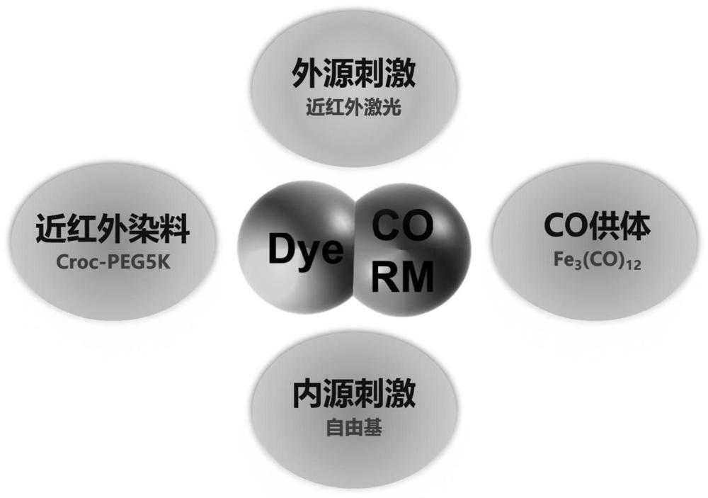 一种可控释放一氧化碳的纳米颗粒及其制备方法和应用