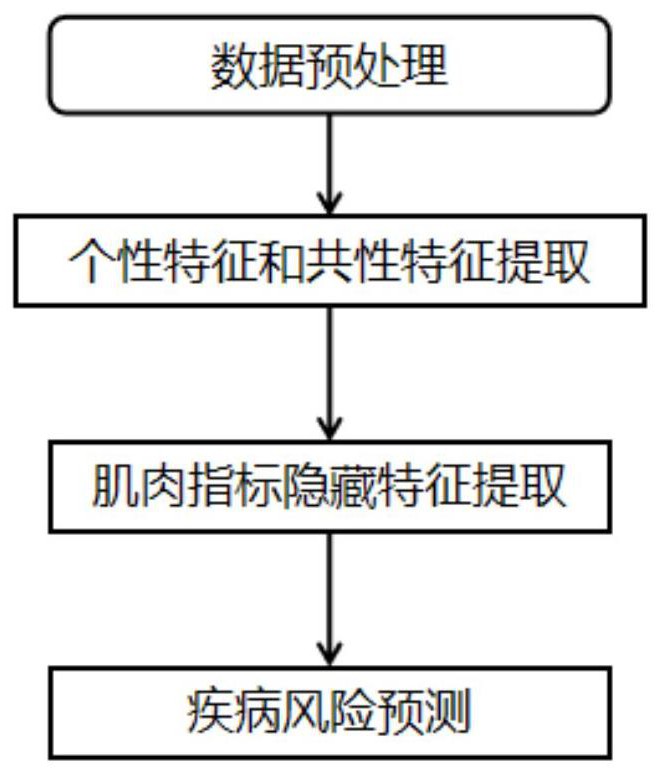 一种基于信息融合的肌少症风险预测方法