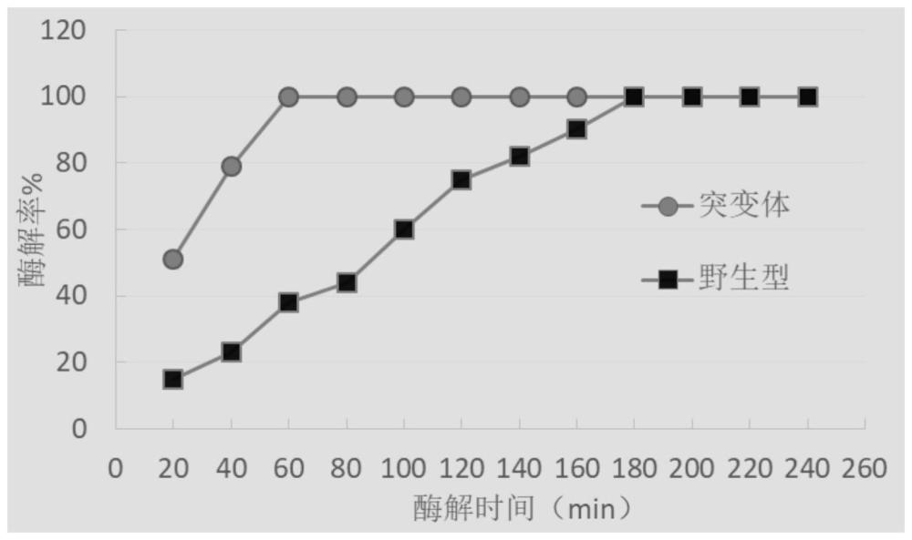 漆酶突变体及其应用的制作方法