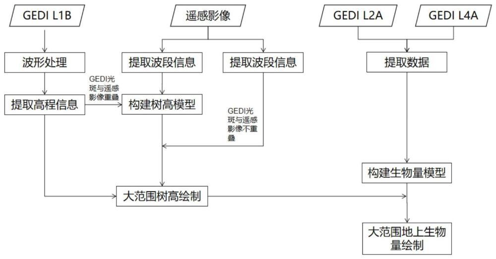 一种联合GEDI与遥感影像反演城市植被生物量的方法