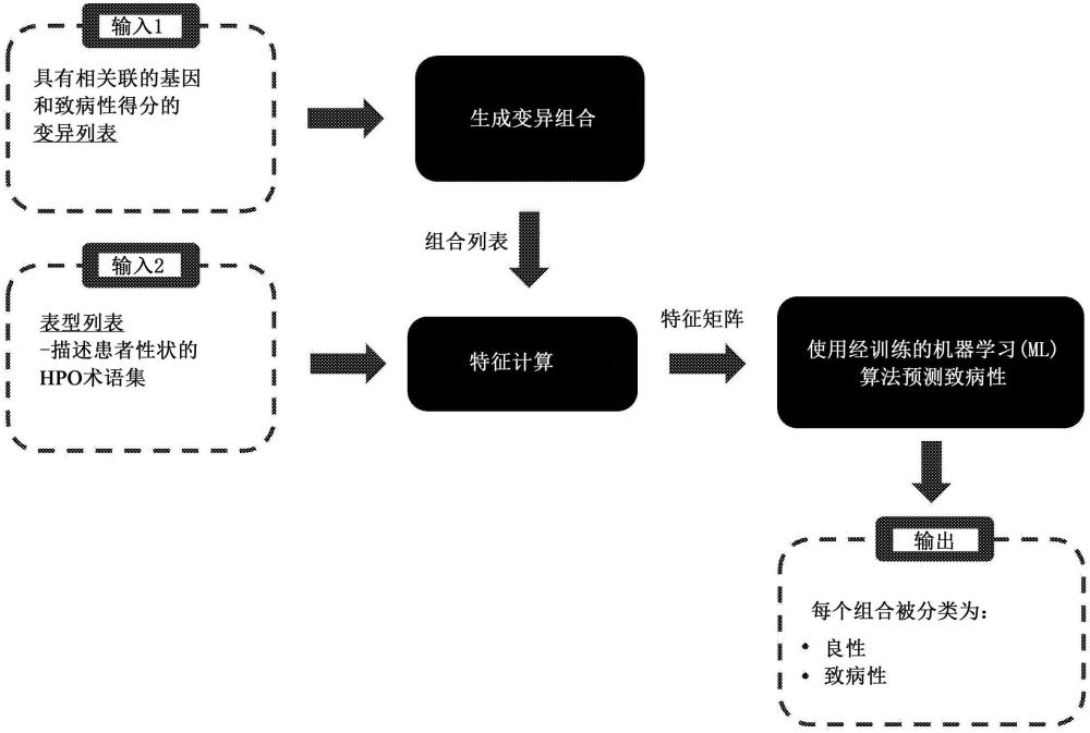 用于确定双基因或寡基因变异的组合的致病性的预测方法与流程