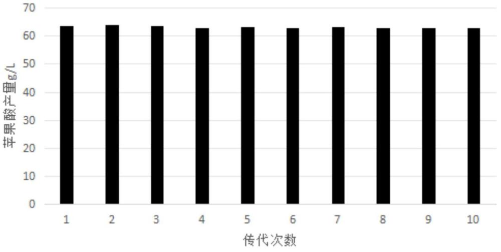 一株寄生曲霉及其生產(chǎn)蘋果酸的發(fā)酵方法和應(yīng)用與流程