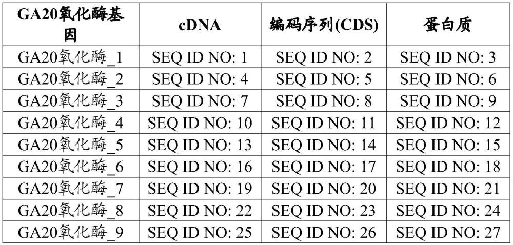 通過操縱赤霉素代謝以增加可收獲產(chǎn)量的用于矮小植物的方法和組合物與流程