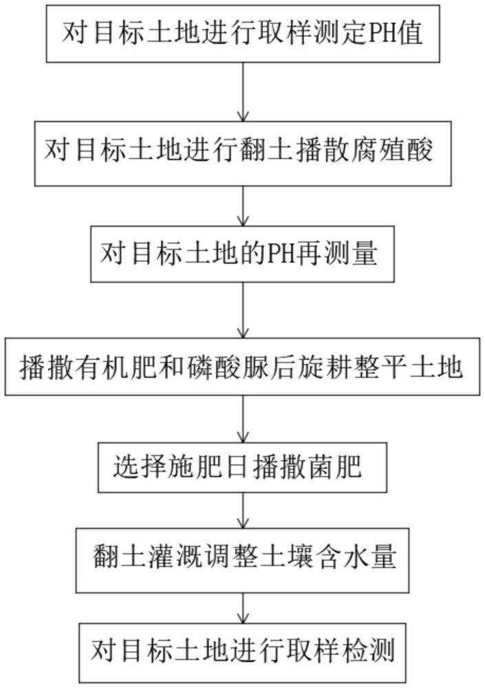 一种改良土壤菌肥的施肥方法与流程