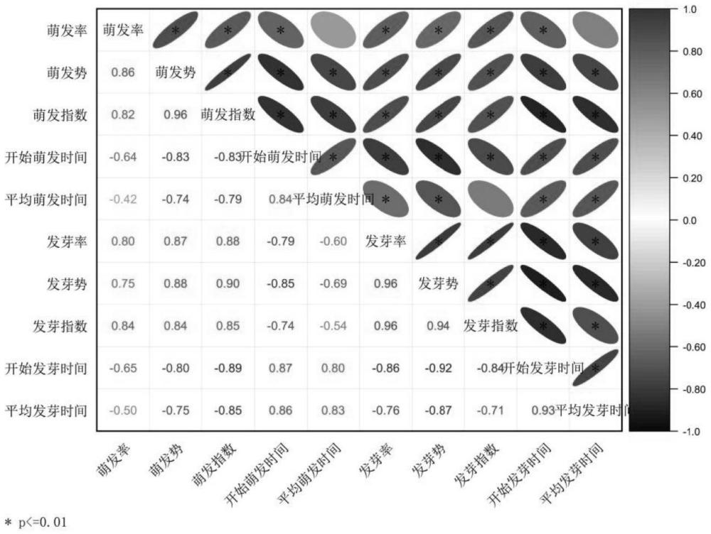 一種促進(jìn)黑果越橘種苗快速繁育的方法