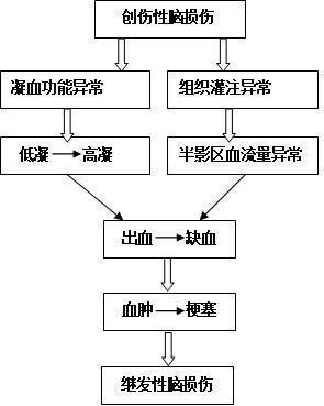 一種數(shù)控自反饋腦序貫抗凝灌流裝置