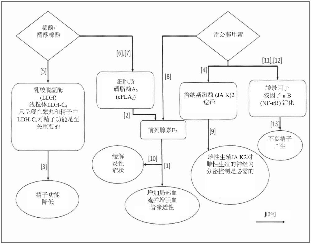 不育劑組合物、試劑盒及其使用方法與流程