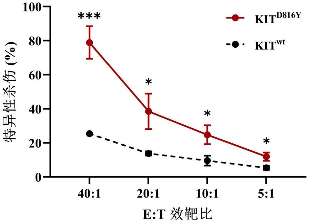 靶向KIT D816Y突變衍生新抗原的TCR及應(yīng)用