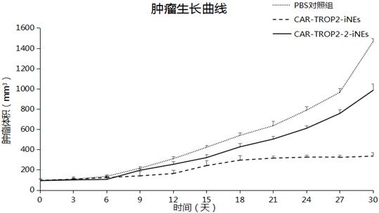 一種靶向TROP2的嵌合抗原受體、藥物遞送體及其應(yīng)用的制作方法