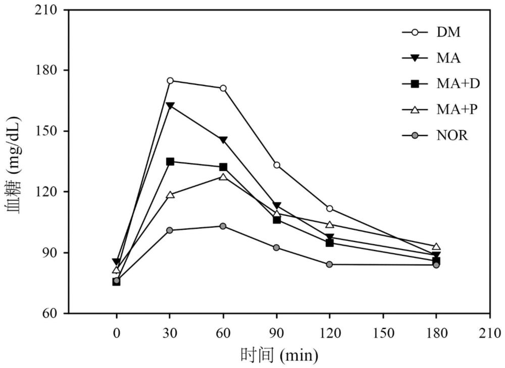 用于调节血糖的组合物的制作方法