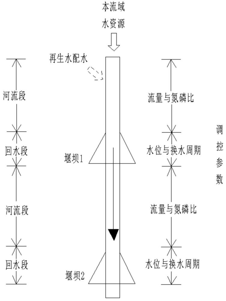 基于藻類風險控制的再生水河道景觀環(huán)境配水調(diào)控方法與流程