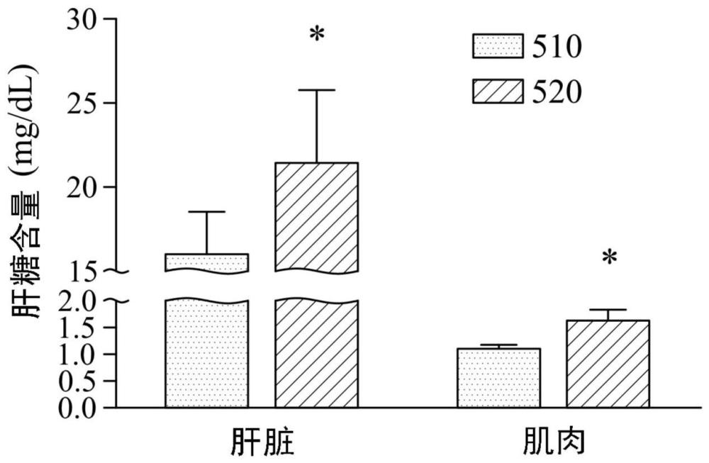 桑黃GKPl之萃取物用于制備提升運動表現(xiàn)及降低運動疲勞的組合物之用途的制作方法