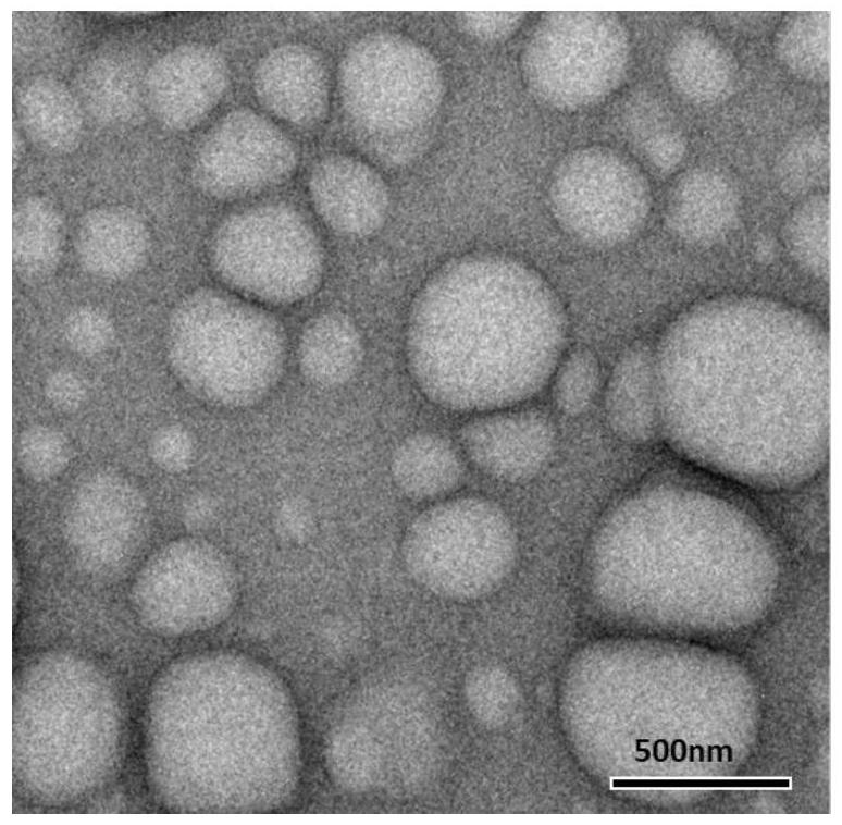 一種二氫楊梅素交聯(lián)納米粒及其制備方法