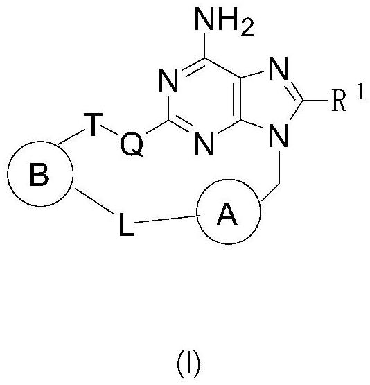 含多芳基的大環(huán)化合物及其用途的制作方法