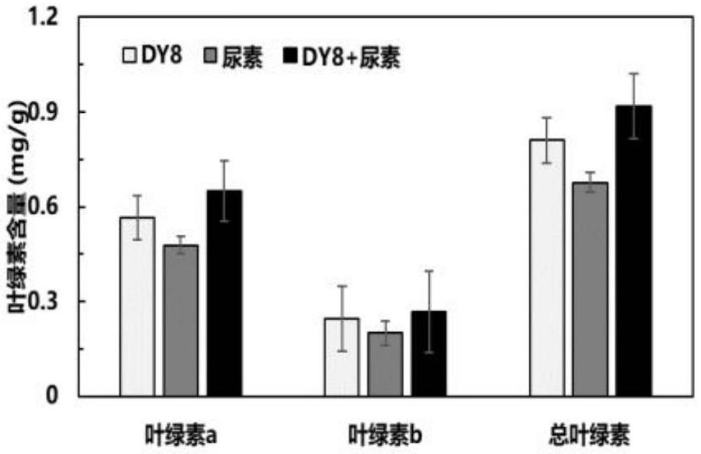 一株粪产碱杆菌DY-8在促进植物生长中的应用的制作方法