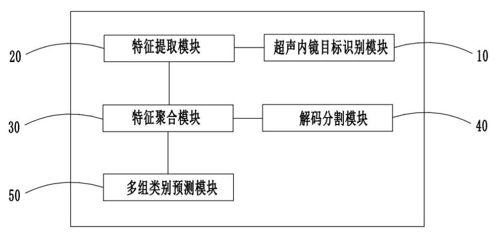 超聲內(nèi)鏡下病變評估系統(tǒng)、方法及存儲介質(zhì)與流程