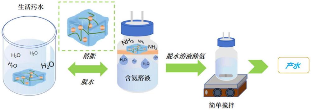 一種聚（丙烯酸-co-丙烯酰胺）水凝膠及其制備方法與在生活污水回用中的應用