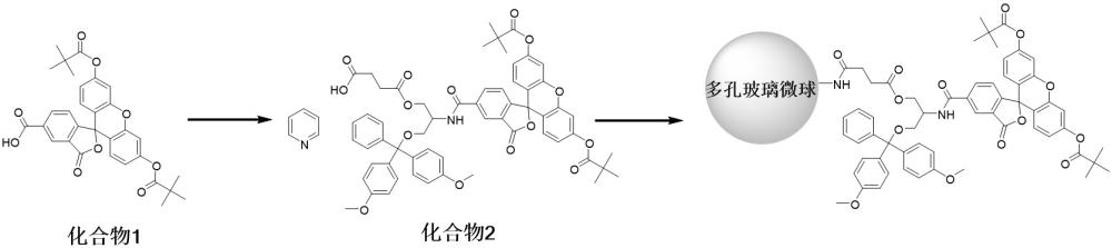 寡聚核苷酸熒光探針及利用其進行環(huán)境DNA檢測的方法與流程