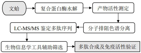 一種文蛤免疫活性肽及其篩選方法和應用