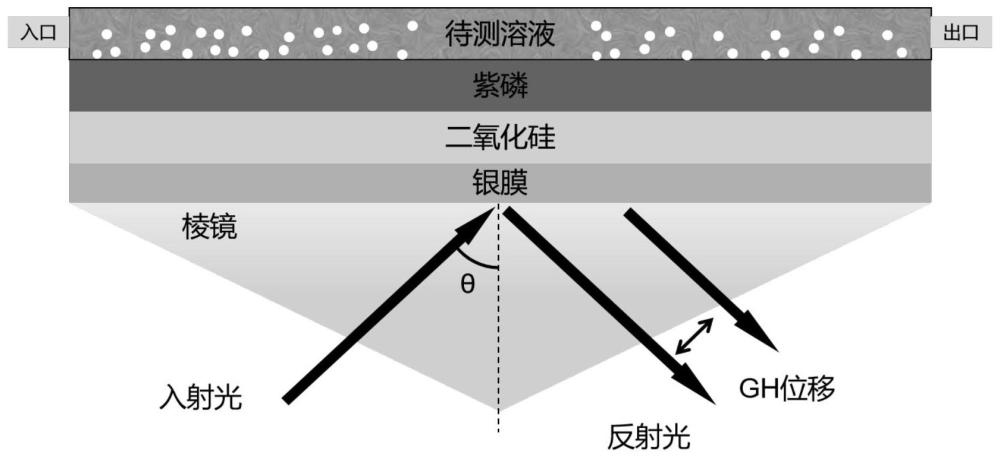 一種能夠產(chǎn)生周期性等離激元誘導(dǎo)透明的傳感器件及制備方法