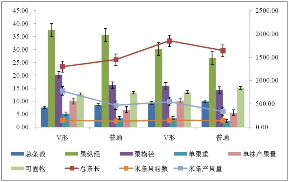 一種果桑的樹型管理方法和V型果桑樹型的栽培方法