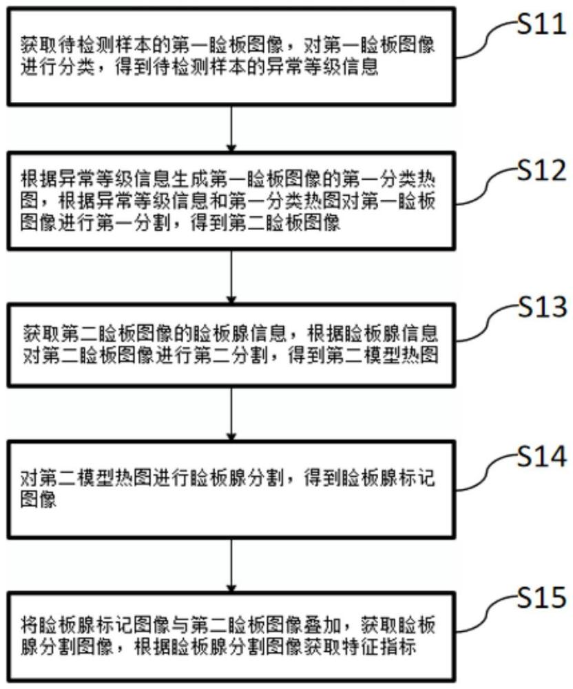 基于可解釋性技術(shù)的瞼板腺特征指標(biāo)獲取方法與流程