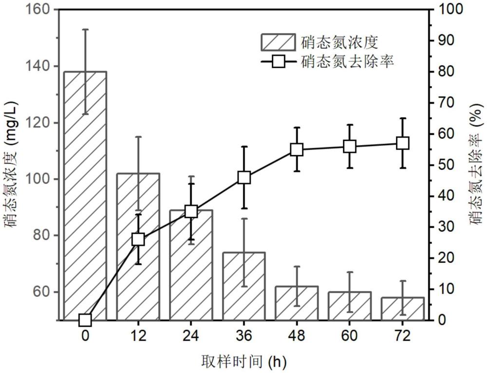 一株兼性厭氧反硝化菌及其應(yīng)用