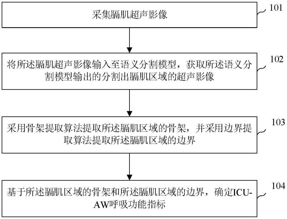 基于超聲影像的ICU-AW呼吸功能評估方法及裝置