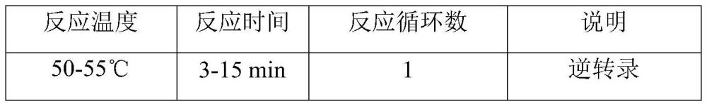 一種SIRT6永生化hUCMSCs及其構(gòu)建方法、SIRT6外囊泡及其提取方法與流程