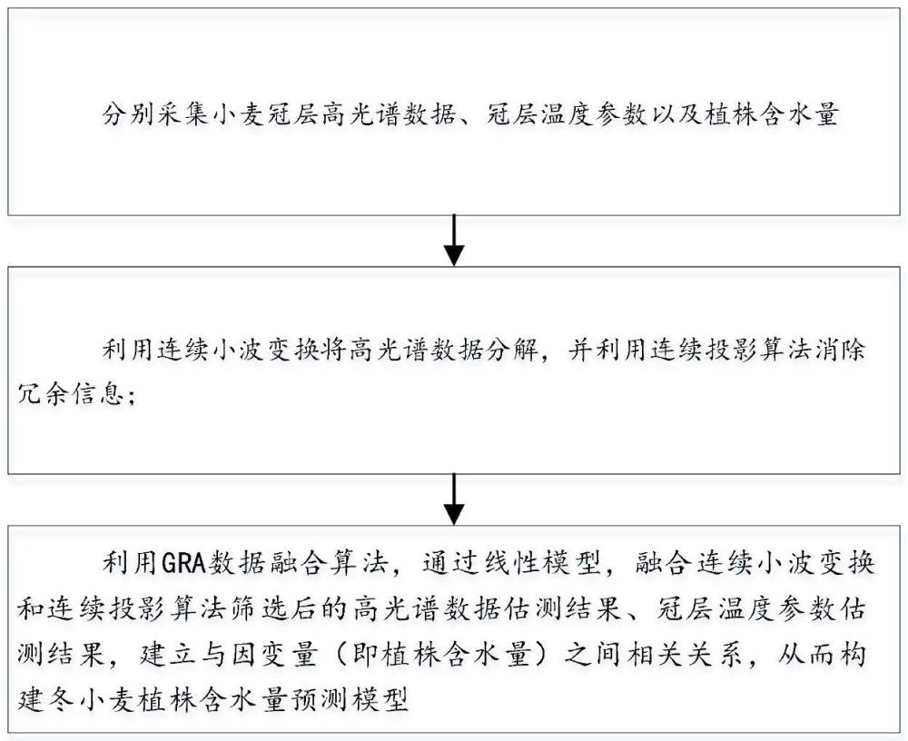 一種快速檢測(cè)冬小麥植株水分狀況的模型構(gòu)建方法、系統(tǒng)及存儲(chǔ)介質(zhì)